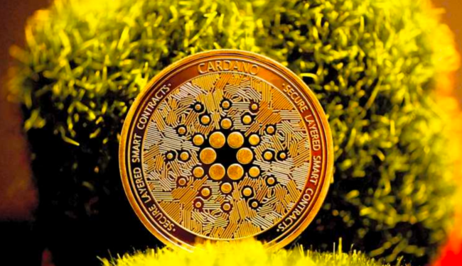 Launching Cardano (ADA) Relay Nodes from a Remote Server (2021)